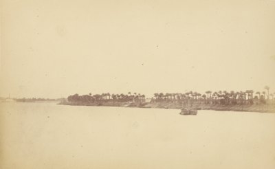 Rives du Nil avec palmiers et bateaux - Théodule Devéria