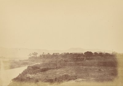 Vue d