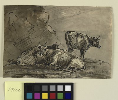 Trois vaches sur une falaise - Thomas Barker