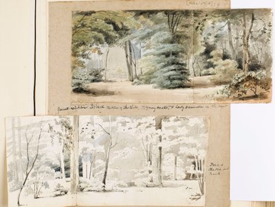 Partie du terrain à Merton avec une tonnelle et des arbres - Thomas Baxter