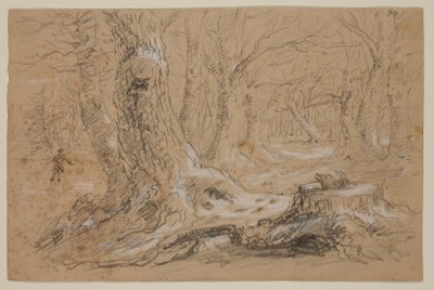 Arbres en hiver avec un homme debout sur un ruisseau gelé - Thomas Cole