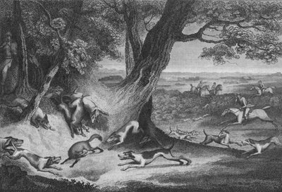 La mort du renard, 1793 - Thomas Cook