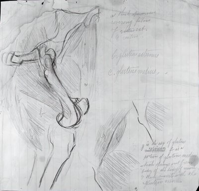 Dessin anatomique - Thomas Eakins