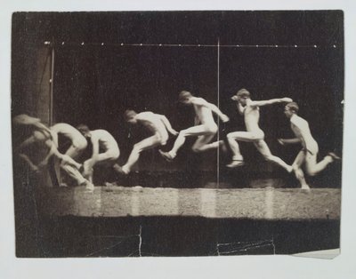 Photographies de la roue de Marey d