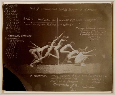 Photographies de la roue de Marey d