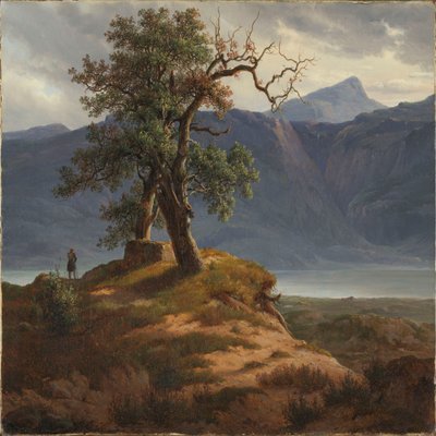 Paysage avec un voyageur - Thomas Fearnley