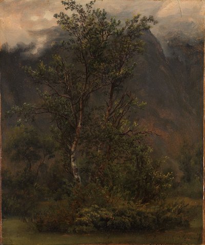 Étude de bouleaux à Romsdal - Thomas Fearnley