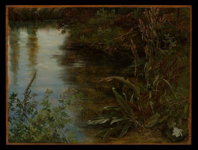  - Thomas Fearnley