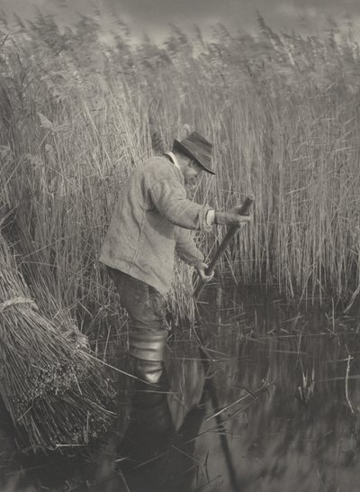 Un coupeur de roseaux au travail, 1886 (photo) - Thomas Frederick Goodall