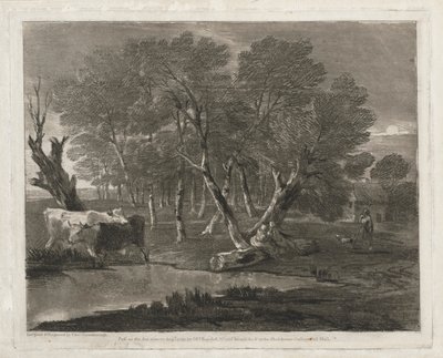 Paysage boisé avec des vaches près d