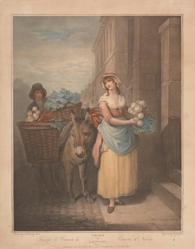 Navets et carottes - Thomas Gaugain