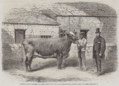 La Duchesse de Captain Gunter 77ème, Première Vache Primée au Salon de la Société Royale d