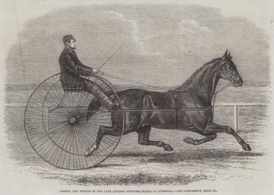Jackey, le gagnant des dernières Aintree Trotting Stakes à Liverpool - Thomas Harrington Wilson