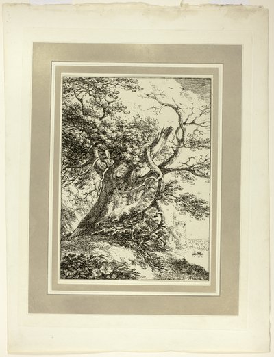 Vieil arbre, du premier numéro de Spécimens de Polyautographie - Thomas Hearne