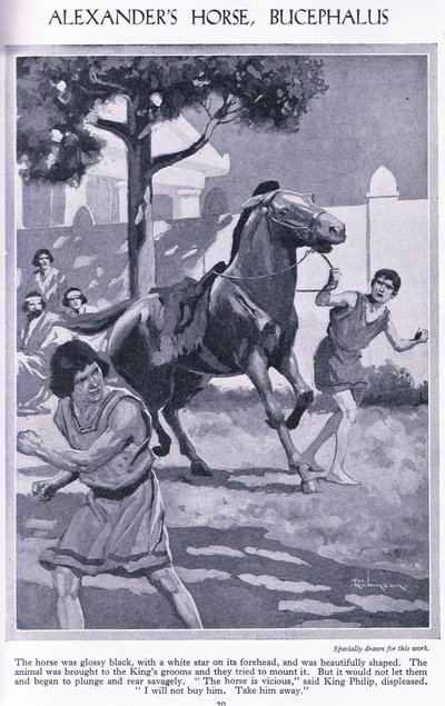 Le cheval d