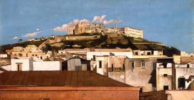 Vue de la Chartreuse de San Martino et du château Sant