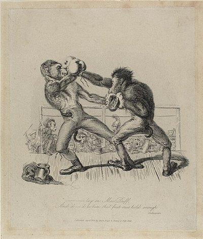 La boxe des singes, de Monkey-ana - Thomas Landseer