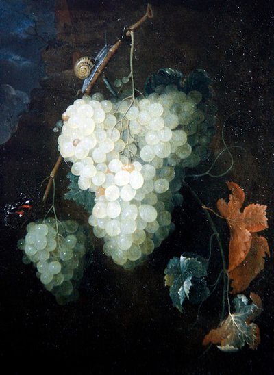 Nature morte avec raisins, vulcain et escargot - Thomas Mertens