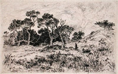 Un vent du sud et un ciel nuageux annoncent une matinée de chasse - Thomas Moran