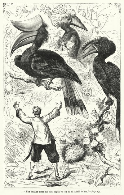 Illustration pour Les Voyages de Gulliver de Jonathan Swift - Thomas Morten