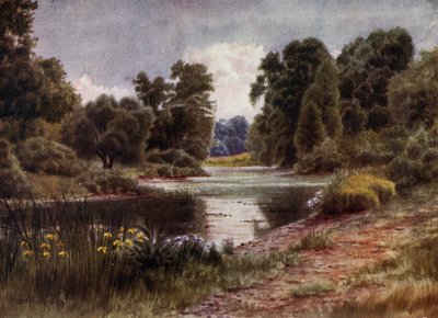Jardins de Kew : Le Lac, vue vers le sud - Thomas Mower Martin