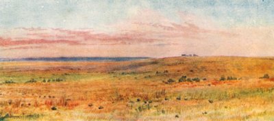  - Thomas Mower Martin