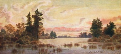  - Thomas Mower Martin