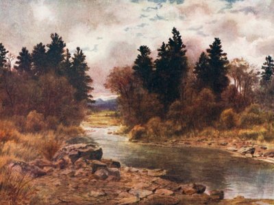  - Thomas Mower Martin