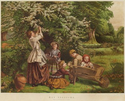 Fleurs de mai - Thomas P. Hall