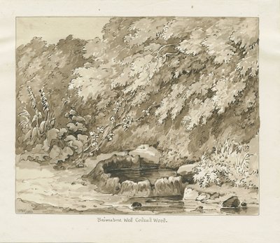 Codsall Wood - Puits de soufre - Thomas Peploe Wood