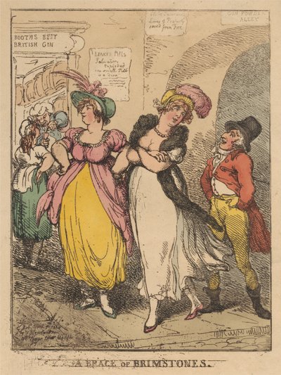 Une paire de papillons « Brimstone » - Thomas Rowlandson
