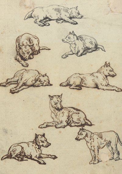 Illustration d
