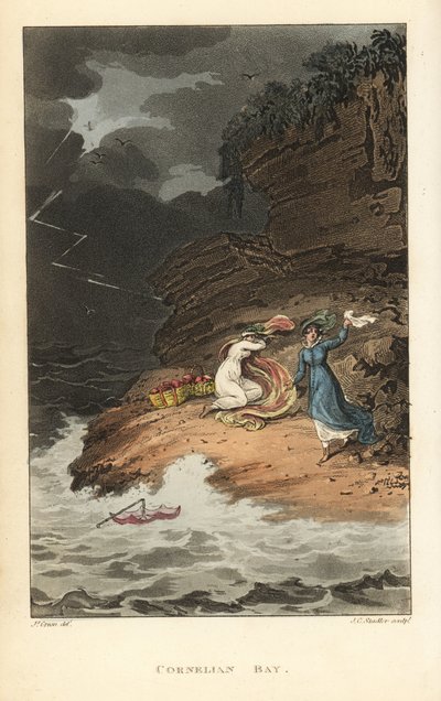 Cornelian Bay : Femmes de la Régence en pique-nique surprises par une tempête soudaine - Thomas Rowlandson