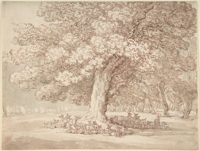 Un troupeau de cerfs sous un chêne - Thomas Rowlandson