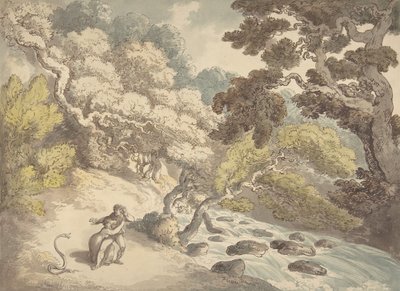 Paysage avec ruisseau tumultueux et un couple sur la rive, effrayé par un serpent - Thomas Rowlandson