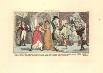 Homme attaqué par un perroquet et un chat dans un salon - Thomas Rowlandson