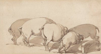 Cochons à une auge - Thomas Rowlandson