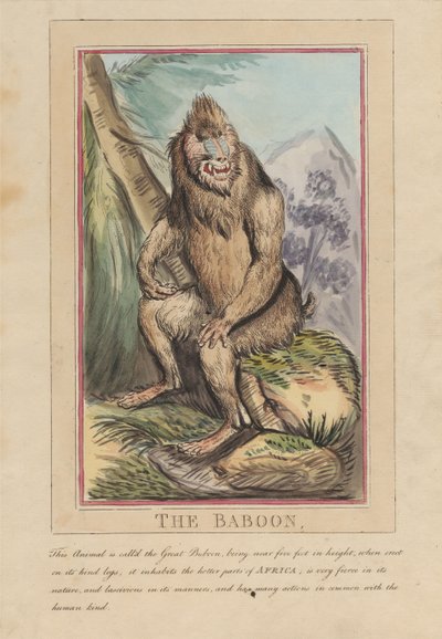 Lot de huit avec page de titre. « Animaux étrangers et domestiques ». 2. Le lion - Thomas Rowlandson