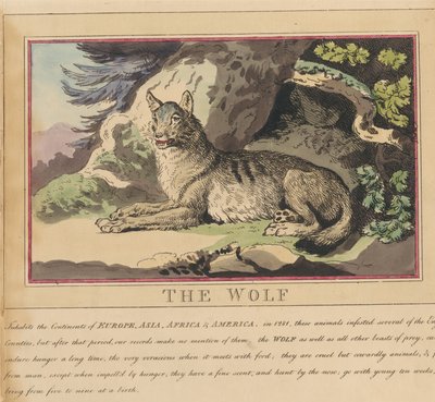 Lot de huit avec page de titre. « Animaux étrangers et domestiques ». 5. Le loup - Thomas Rowlandson