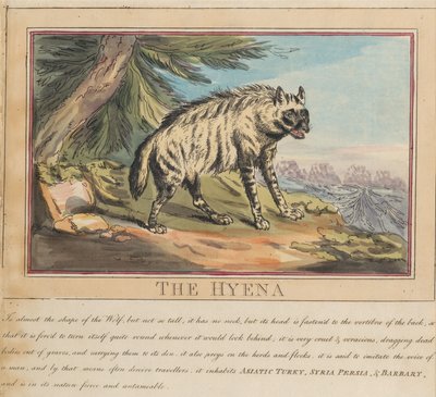 Lot de huit avec page de titre. « Animaux étrangers et domestiques ». 6. La hyène - Thomas Rowlandson