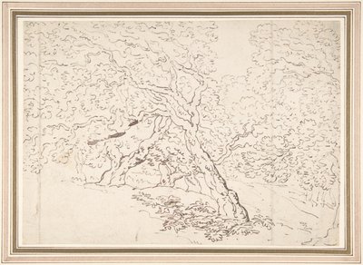 Étude des arbres - Thomas Rowlandson