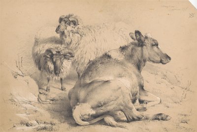 Une vache et deux béliers - Thomas Sidney Cooper