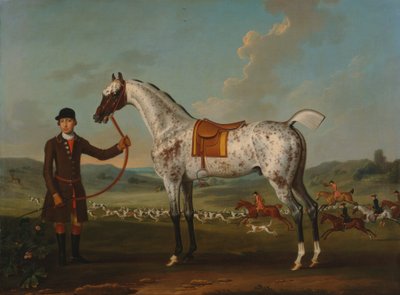 Scipio, un chasseur tacheté, propriété du colonel Roche - Thomas Spencer
