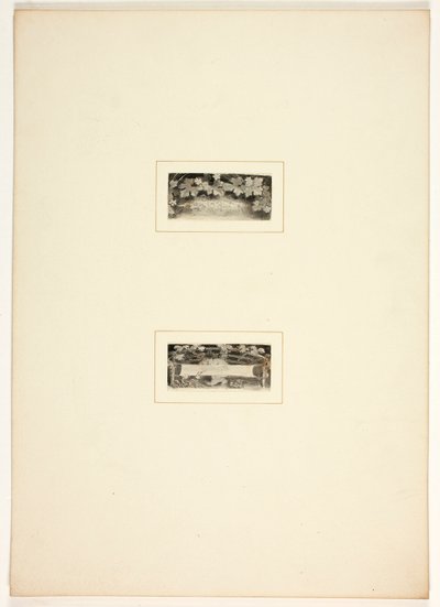 Studie für eine Platte aus Telemachus - Thomas Stothard