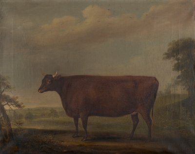 Génisses rouges du Devon dans un paysage, vers 1812 - Thomas Weaver