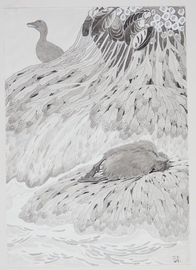 Un eider et un oiseau mort sur une rive - Thorolf Holmboe