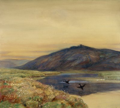 Paysage avec des oiseaux - Thorolf Holmboe