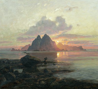 Phalacrocorax aristotelis au soleil de minuit - Thorolf Holmboe