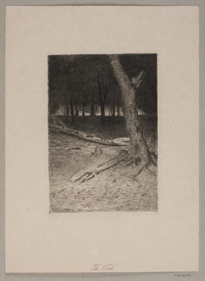 Forêt intérieure. Soir - Thorvald Niss