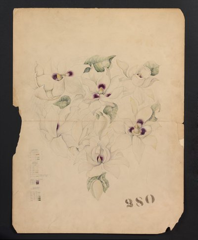 Dessin de conception, vers 1893 (aquarelle) - Tiffany & Company
